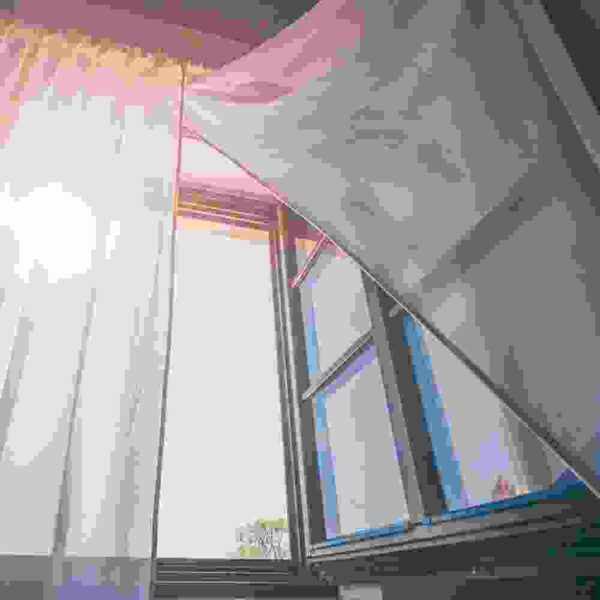 Sunglasses - Image 4